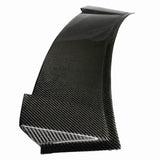 Carbon Fiber Rear Visor